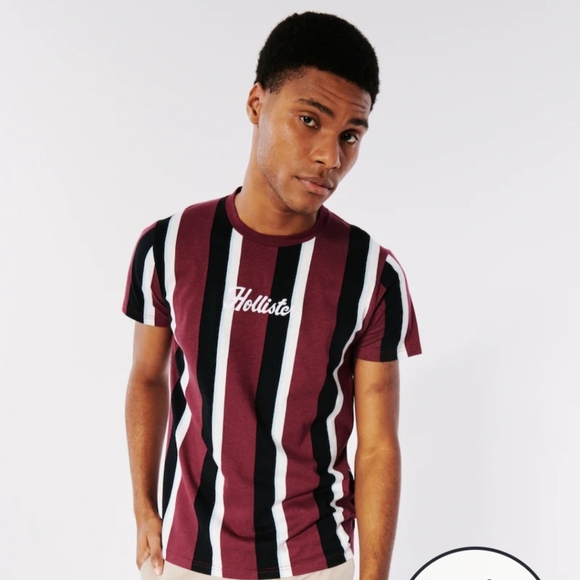 🆕️Hollister Vertical Stripe Embroidered Graphic Tee. Burgundy Stripe Size L - Picture 3 of 4
